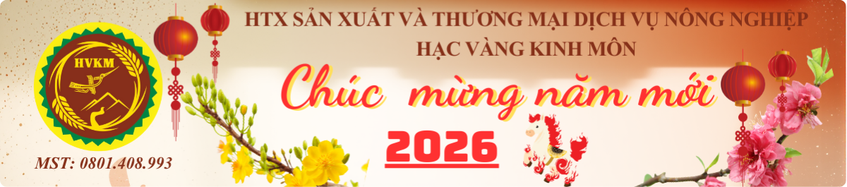 Baner chúc mừng năm mới 2026