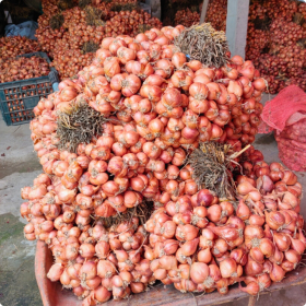 hanh-ta-kinh-mon-gia-si